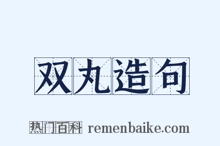 双丸造句是什么意思的图片